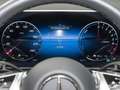 Mercedes-Benz GLC 300 GLC 300 e 4M Avantgarde LED/Pano/360°/Memory/DAB Grau - thumbnail 21