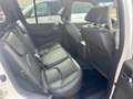 Nissan Pathfinder Pathfinder 3.0 V6 dCi 231 7pl A Bianco - thumbnail 13