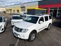 Nissan Pathfinder Pathfinder 3.0 V6 dCi 231 7pl A Bianco - thumbnail 1