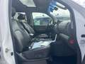 Nissan Pathfinder Pathfinder 3.0 V6 dCi 231 7pl A Bianco - thumbnail 15