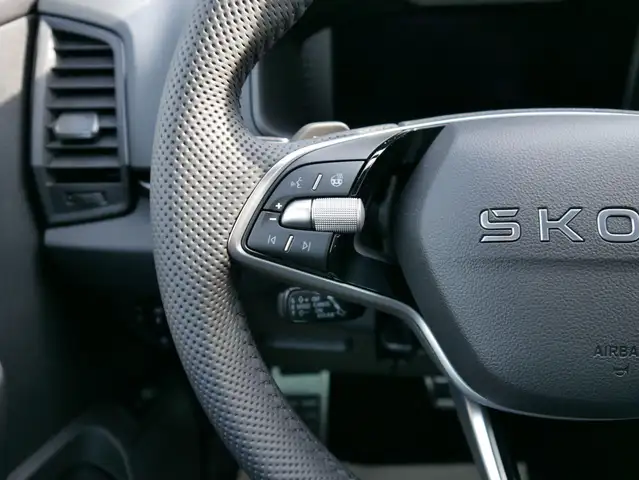 Skoda Karoq Sportline 2.0 TSI 4x4 DSG DSG*ACC*AHK-SCHWENKBA... Ansicht 12