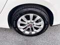 Fiat Tipo 1.3 Diesel 95CV E6 Neo - 2019 Blanc - thumbnail 12