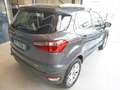 Ford EcoSport 1.0 EcoBoost 125 CV Plus Argento - thumbnail 4