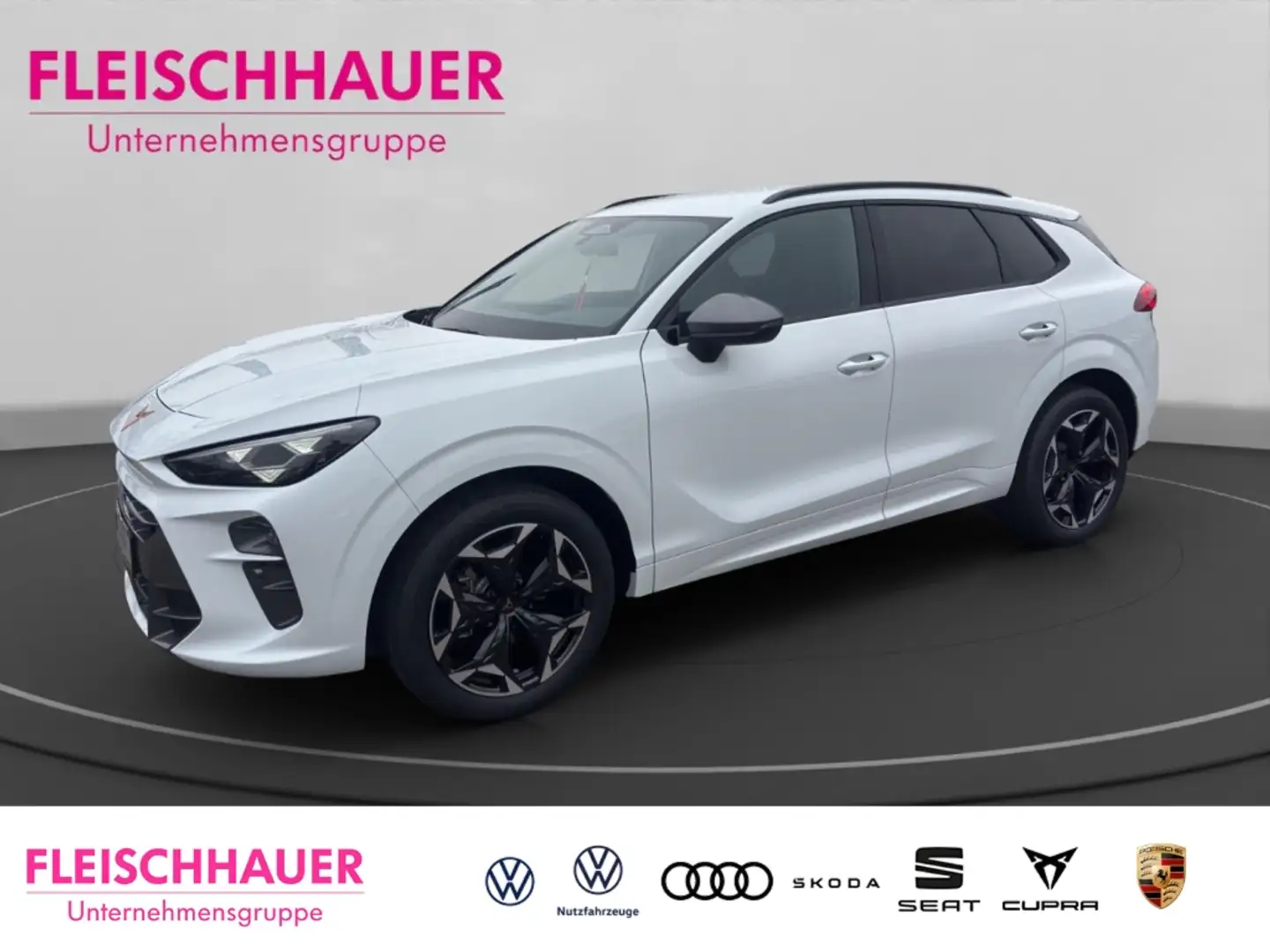 CUPRA Terramar 1.5 eTSI 110 kW (150 PS)  DSG AHK Parkpilot Full-L Wit - 1
