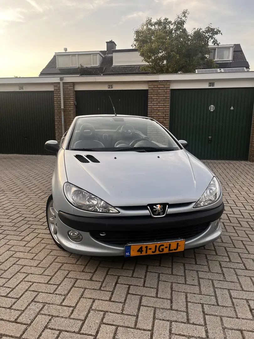 Peugeot 206 2.0-16V Grijs - 2