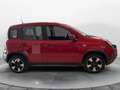 Fiat Panda Panda 1.0 FireFly S&S Hybrid City Cross Rojo - thumbnail 5