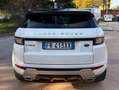 Land Rover Range Rover Evoque Range Rover Evoque I my19 Bianco - thumbnail 6
