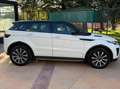 Land Rover Range Rover Evoque Range Rover Evoque I my19 Bianco - thumbnail 4