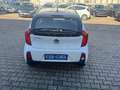 Kia Picanto Start Weiß - thumbnail 3