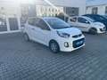 Kia Picanto Start Weiß - thumbnail 6