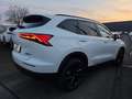 GWM HAVAL H6 1.5 HEV DHT Luxury Panoramadach Head-Up Weiß - thumbnail 30