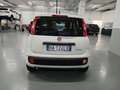 Fiat Panda Nuova Panda Hybrid 1.0 70cv KM0 SENZA ROTTAMAZIONE Weiß - thumbnail 6