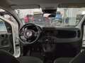 Fiat Panda Nuova Panda Hybrid 1.0 70cv KM0 SENZA ROTTAMAZIONE Weiß - thumbnail 10
