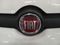 Fiat Panda Nuova Panda Hybrid 1.0 70cv KM0 SENZA ROTTAMAZIONE Weiß - thumbnail 15
