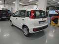 Fiat Panda Nuova Panda Hybrid 1.0 70cv KM0 SENZA ROTTAMAZIONE Weiß - thumbnail 8