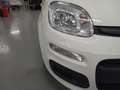 Fiat Panda Nuova Panda Hybrid 1.0 70cv KM0 SENZA ROTTAMAZIONE Weiß - thumbnail 4
