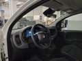 Fiat Panda Nuova Panda Hybrid 1.0 70cv KM0 SENZA ROTTAMAZIONE Weiß - thumbnail 11