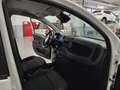 Fiat Panda Nuova Panda Hybrid 1.0 70cv KM0 SENZA ROTTAMAZIONE Weiß - thumbnail 12