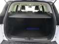 Ford Kuga Kuga II 2013 2.0 tdci Business 2wd S&S 120CV Bianco - thumbnail 6