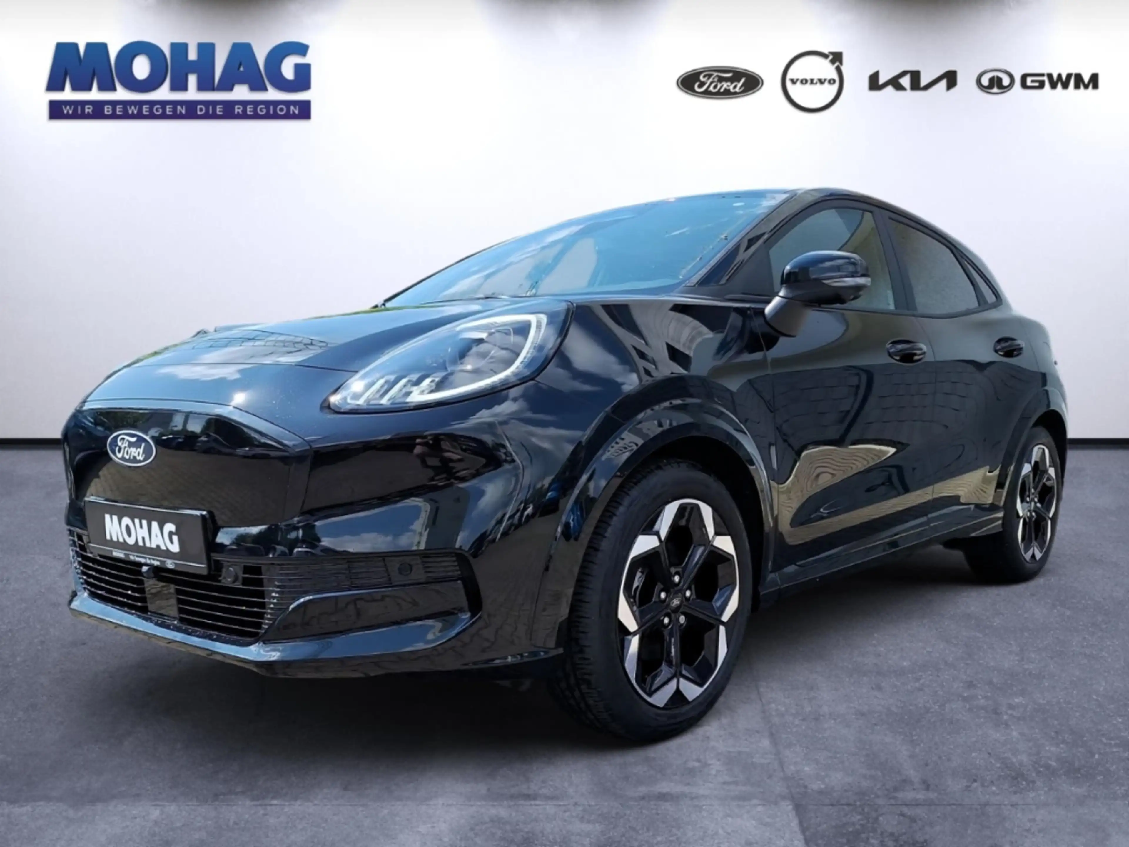 Ford Puma Premium *Winter-Paket-360°Kamera*
