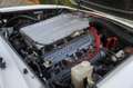 Aston Martin V8 Volante S3 Wit - thumbnail 15