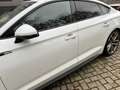 Audi A5 Sportback 2.0 TDI quattro S tronic sport - thumbnail 7