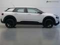 Citroen C4 Cactus 1.2 PureTech Business (APPLE CARPLAY,NAVI,LED VERL Blanc - thumbnail 5
