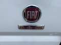 Fiat Ducato Hochr.-Kasten 30 140 L2H2 RS: 3450 mm Weiß - thumbnail 10