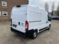 Fiat Ducato Hochr.-Kasten 30 140 L2H2 RS: 3450 mm Weiß - thumbnail 5