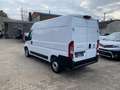 Fiat Ducato Hochr.-Kasten 30 140 L2H2 RS: 3450 mm Weiß - thumbnail 6