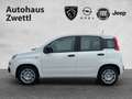 Fiat Panda /Pandina Icon Hybrid 70 Weiß - thumbnail 3
