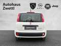 Fiat Panda /Pandina Icon Hybrid 70 Weiß - thumbnail 5