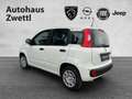 Fiat Panda /Pandina Icon Hybrid 70 Weiß - thumbnail 4
