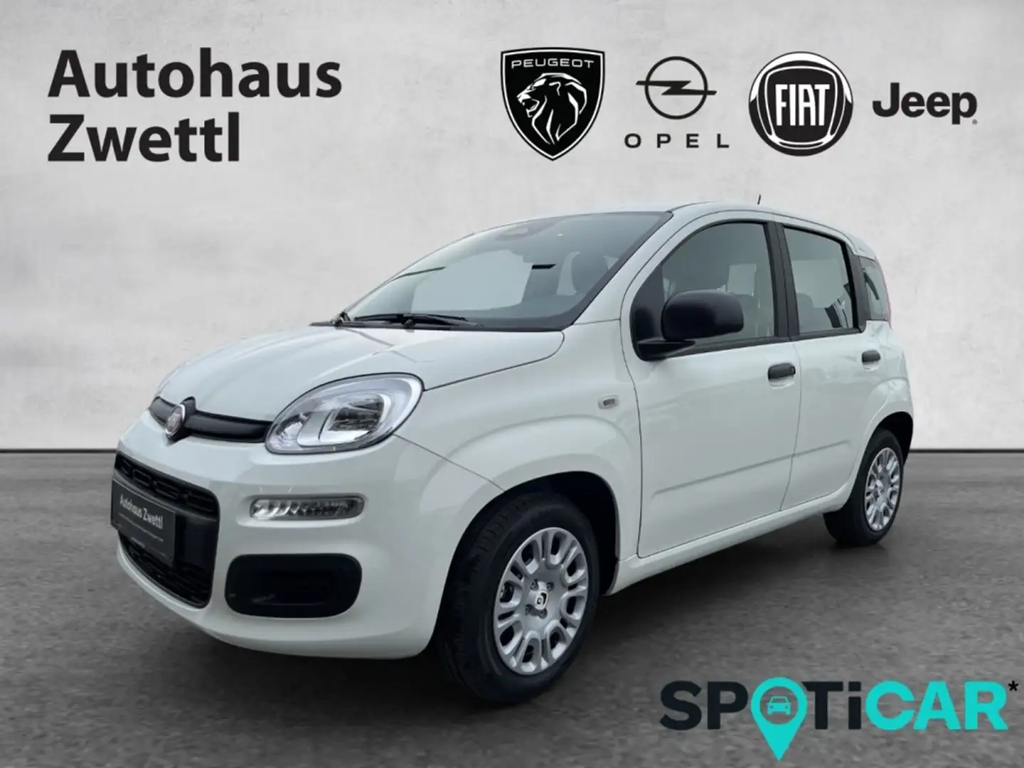 Fiat Panda /Pandina Icon Hybrid 70 Weiß - 1