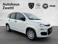 Fiat Panda /Pandina Icon Hybrid 70 Weiß - thumbnail 8