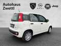 Fiat Panda /Pandina Icon Hybrid 70 Weiß - thumbnail 6