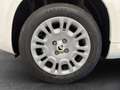 Fiat Panda /Pandina Icon Hybrid 70 Weiß - thumbnail 20