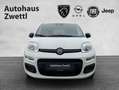 Fiat Panda /Pandina Icon Hybrid 70 Weiß - thumbnail 2