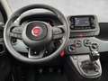 Fiat Panda /Pandina Icon Hybrid 70 Weiß - thumbnail 14