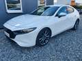 Mazda 3 Lim. 5-trg. Selection Navi Leder Xenon 69Tkm Weiß - thumbnail 7