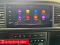 CUPRA Ateca 2.0 TSI DSG 4Dr AHK 360 DCC NAVI Grün - thumbnail 29