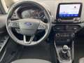 Ford EcoSport 1.0 EcoBoost Titanium Start/Stopp PDC ABS Grigio - thumbnail 11