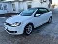 Volkswagen Golf Cabriolet Golf VI Cabriolet 1.4 TSI 6-Gang LEDER Sportpaket Blanc - thumbnail 9