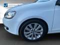 Volkswagen Golf Cabriolet Golf VI Cabriolet 1.4 TSI 6-Gang LEDER Sportpaket Blanc - thumbnail 13