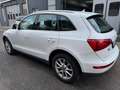 Audi Q5 2.0 TDI 170CV Advanced quattro s-tronic*EURO5 - thumbnail 6