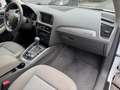 Audi Q5 2.0 TDI 170CV Advanced quattro s-tronic*EURO5 - thumbnail 11