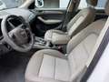Audi Q5 2.0 TDI 170CV Advanced quattro s-tronic*EURO5 - thumbnail 7