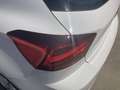 SEAT Ibiza 1.0 TSI S&S Style 85kW Blanco - thumbnail 14