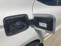 SEAT Ibiza 1.0 TSI S&S Style 85kW Blanco - thumbnail 17