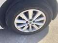SEAT Ibiza 1.0 TSI S&S Style 85kW Blanco - thumbnail 11
